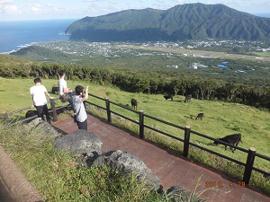 山の上の牧場での～んびり